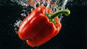Splash of Red Pepper