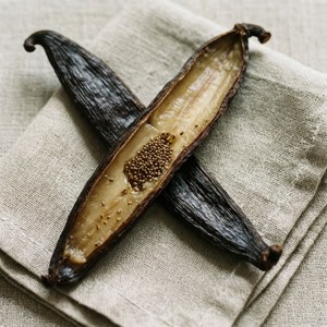 Split Vanilla Bean