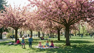 Spokane Spring Blossoms