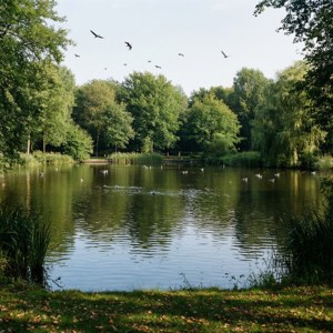 Spoolderpark Serenity