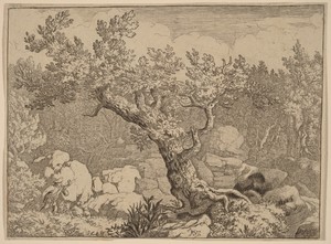 Sportsman near a Large Tree