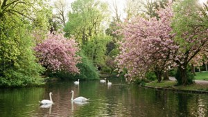 Spring at Lake Wendouree