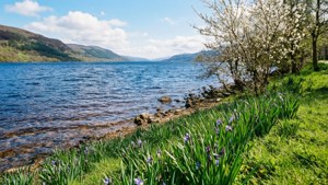 Spring at Loch Ness