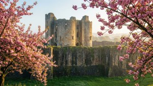 Spring at Newport Castle