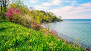 Spring Awakening