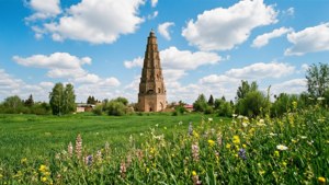 Spring Blooms near Burana Tower