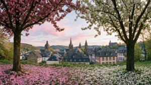 Spring Blossom Town