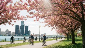 Spring Blossom Trail
