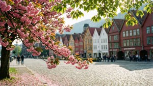 Spring Blossoms