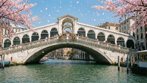 Spring Blossoms at Rialto