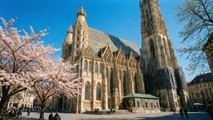 Spring Blossoms at the Cathedral