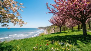 Spring Blossoms by the Lake