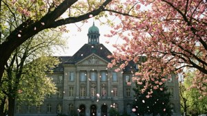 Spring Blossoms ETH