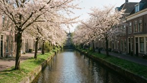 Spring Canal Serenity