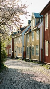 Spring Cherry Lane