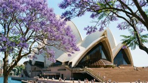 Spring Flowers and Sails