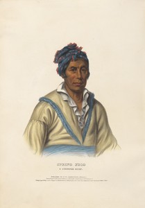 Spring Frog - A Cherokee Chief