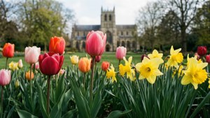 Spring Gardens of Ripon