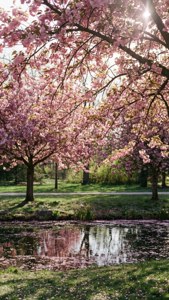 Spring in Chinguacousy