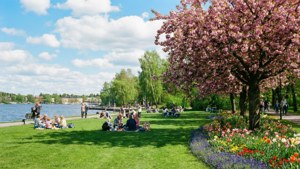 Spring in the Park