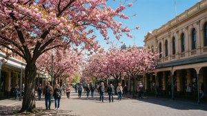 Spring in The Square
