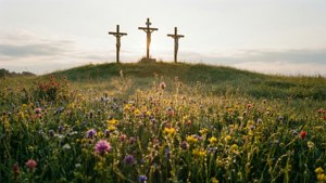 Spring Meadow Crosses