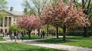 Spring on the Quad