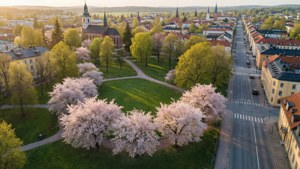 Spring Over Skövde