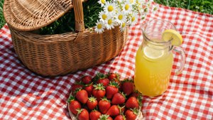 Spring Picnic May