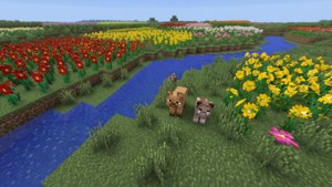 Spring Plains Flowers