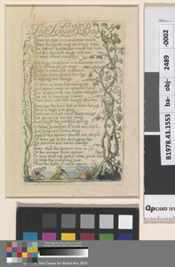 Spring (Plate 12)