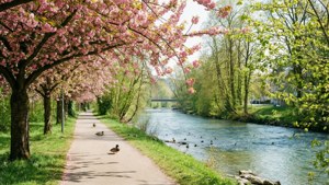 Spring Riverwalk