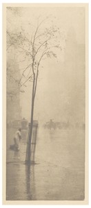 Spring Showers - The Street-Cleaner
