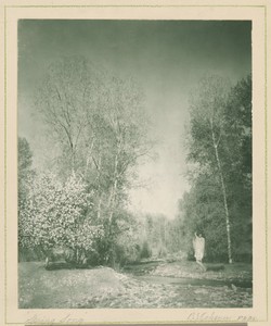 Spring Song