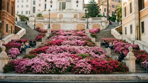Spring Spanish Steps