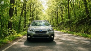 Spring Tunnel Drive