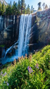 Spring Yosemite Falls