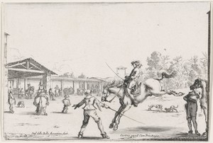 Springend paard in manege
