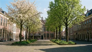 Springtime Brink Square