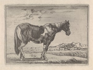 Staand paard
