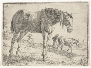 Staand paard