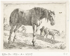 Staand paard