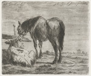 Staand paard en liggend kalf bij een paal