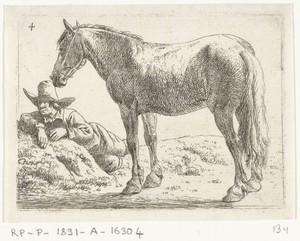 Staand paard met rustende ruiter