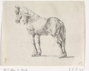 Staand paard naar links