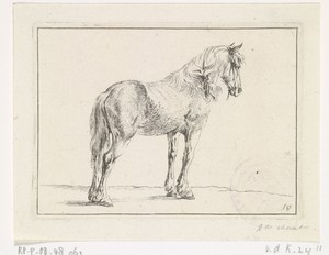 Staand paard naar rechts