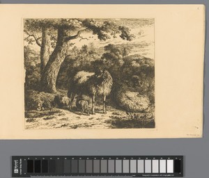 Staand schaap met twee lammeren
