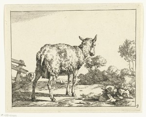 Staand schaap, van achter, bij hek