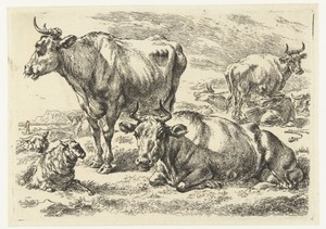 Staande en liggende koe in weide met schapen en koe die wordt gemolken