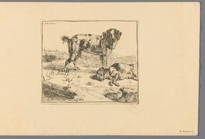 Staande en slapende hond
